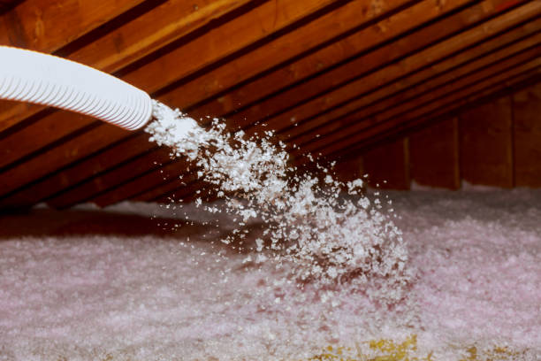Best Attic Insulation Installation  in Red Oak, NC