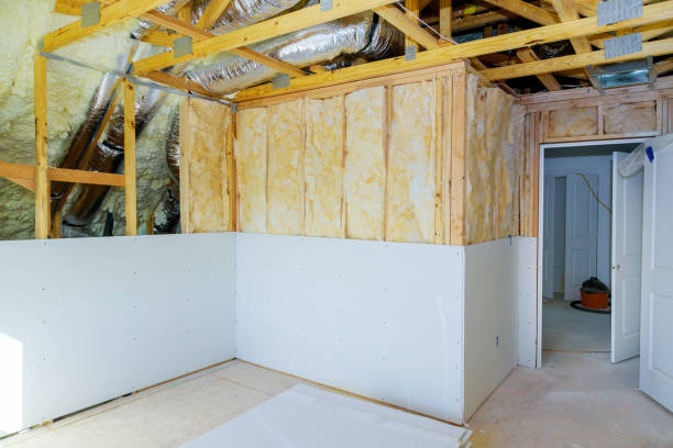 Best Energy-efficient Insulation  in Red Oak, NC