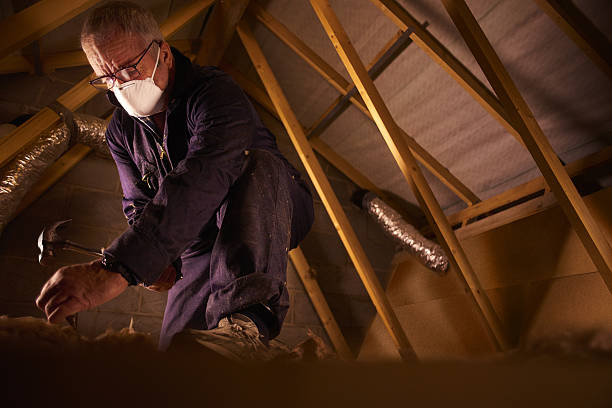 Best Insulation Contractors for Homes  in Red Oak, NC